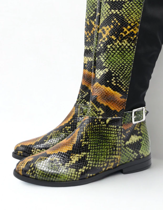Capsule Collection-08 - Image 2