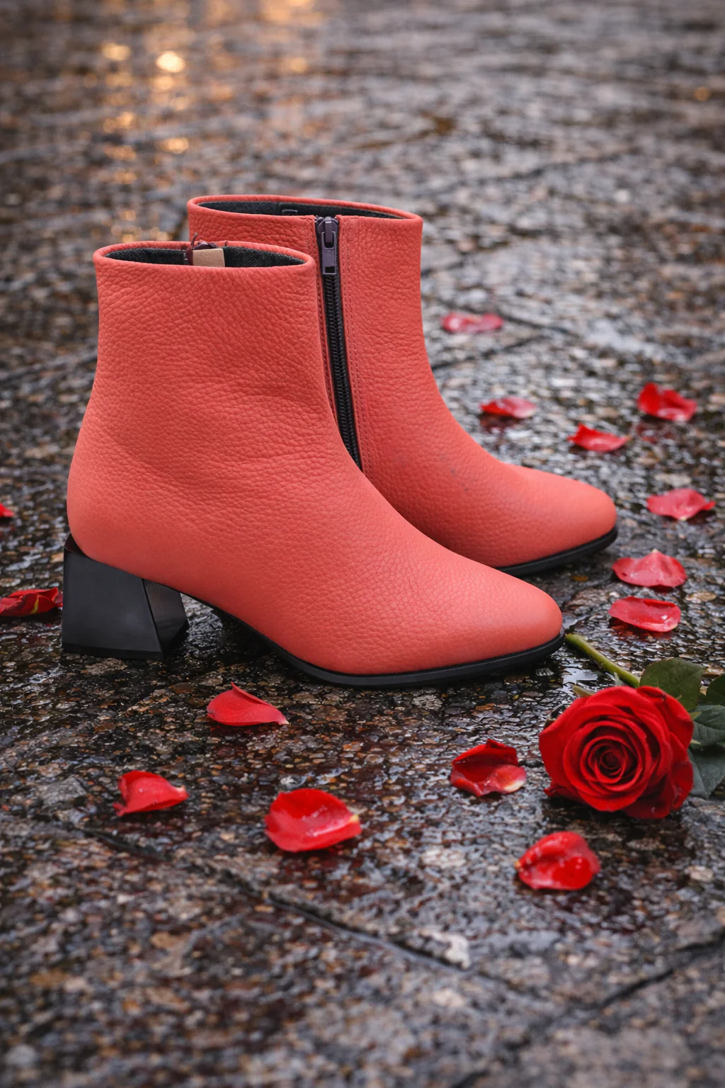 Capsule Collection-14 - Image 7