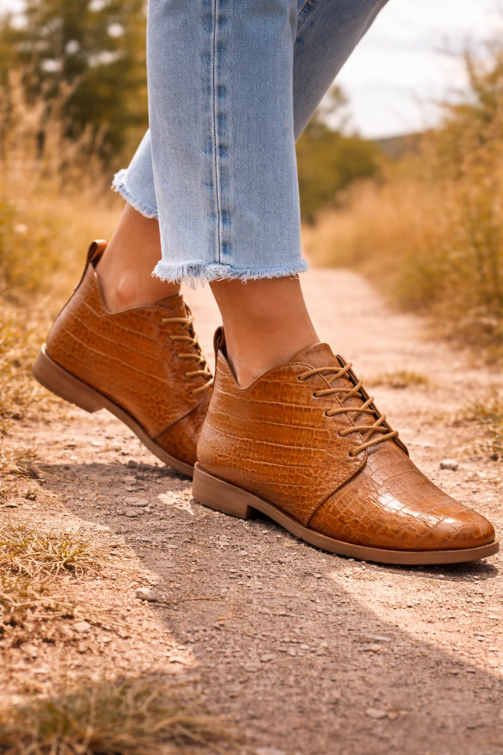 Capsule Collection-27 - Image 5